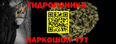 индика Канаш