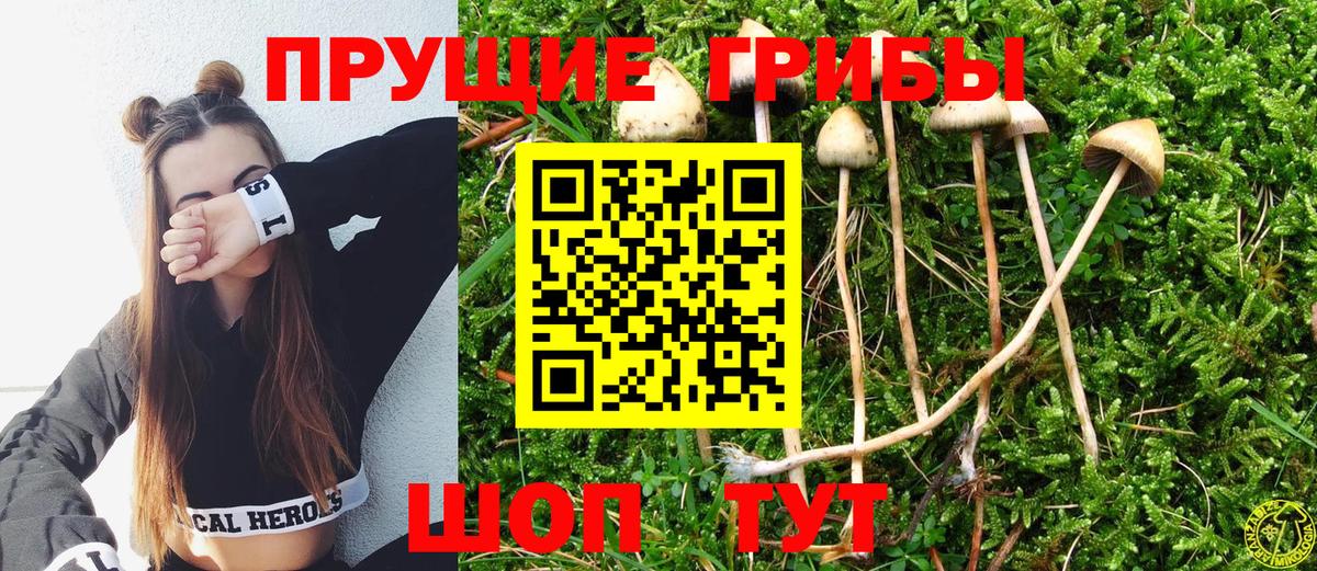 Псилоцибиновые грибы MAGIC MUSHROOMS Кызыл