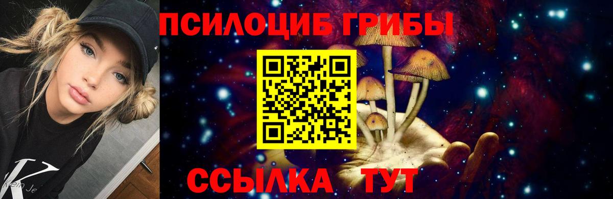 Кызыл  Псилоцибиновые грибы Magic Shrooms  Вход с VPN 